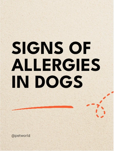 Dental hygiene example post with portrait photography